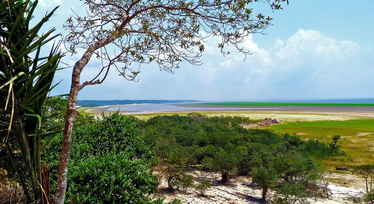 Amazon River
