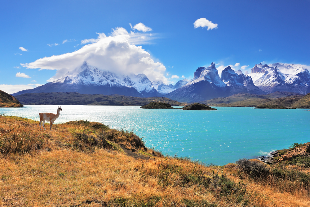 The Patagonian Wilderness: Discovering the Untamed Beauty of Southern South America