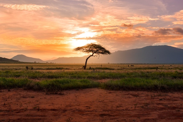 Complete Guide to Paying for Safari Holidays