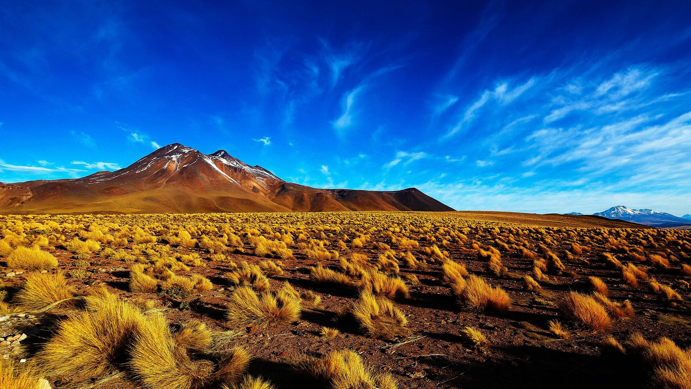 Safari in Chile: what is worth seeing first?