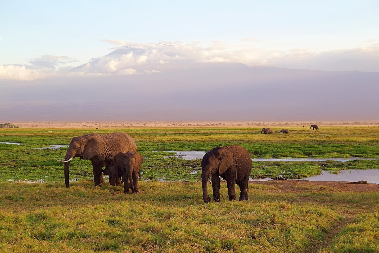 High Stakes and Wild Sights: Comparing the Thrill of Safari Parks and Online Casinos